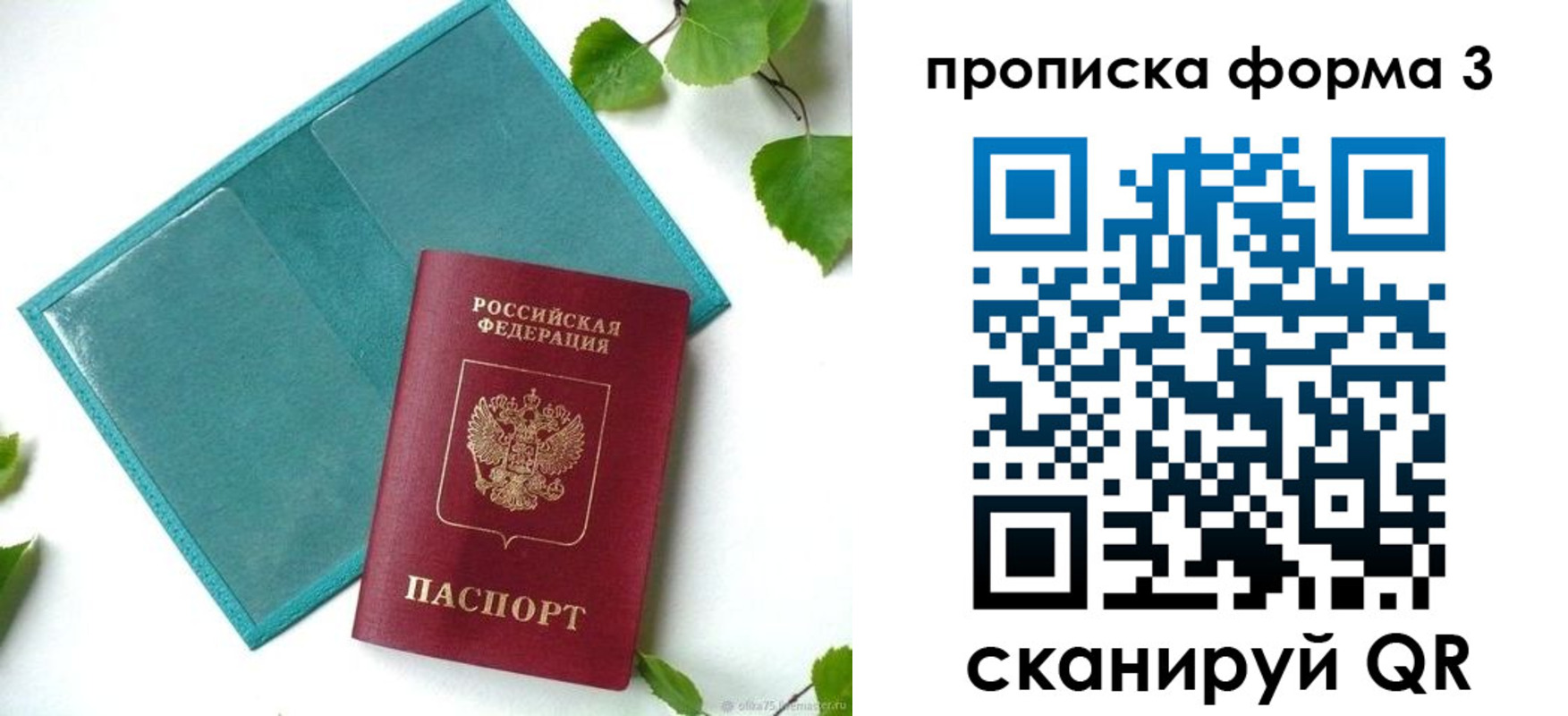 прописка ребенка в Старой Купавне